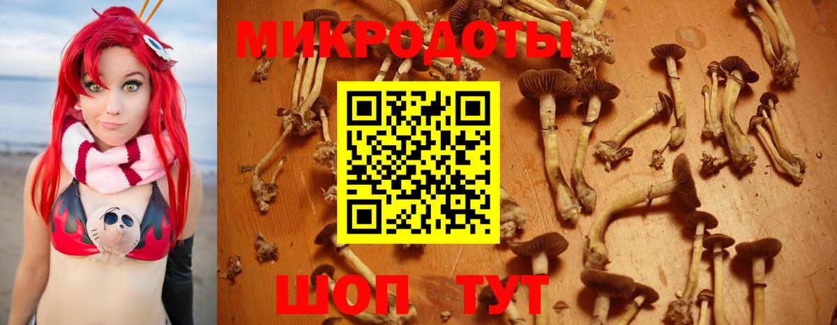 Псилоцибиновые грибы мицелий  купить закладку  Камышлов  Галлюциногенные грибы Magic Shrooms  Вход с VPN 